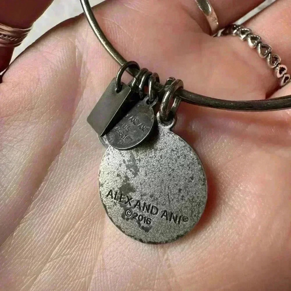 Alex and Ani Silver Team USA gymnastics bangle - Picture 4 of 4